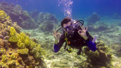 Apo Island