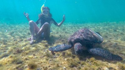 Apo Island