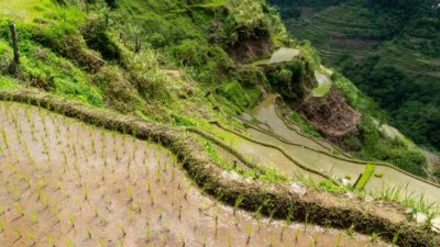 Banaue