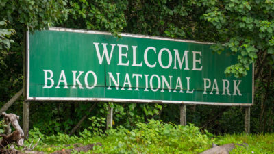 Bako Nationalpark