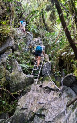 Mulu Nationalpark