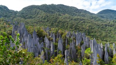 Mulu Nationalpark