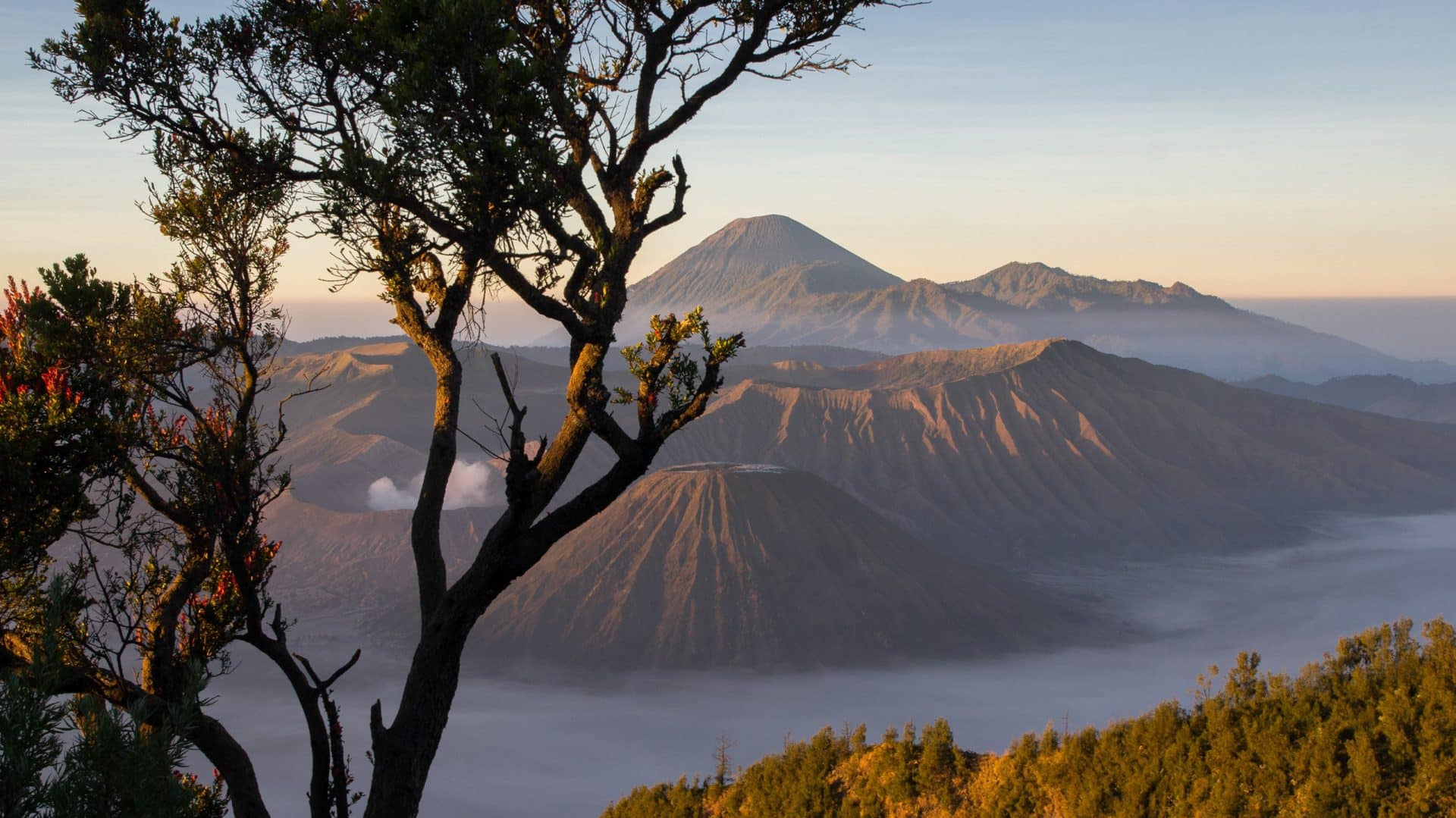 Bromo Vulkan Java Indonesien