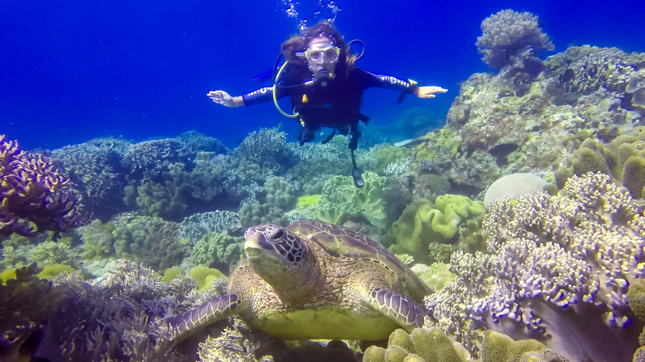 Apo Island ∙ Schnorcheln und Tauchen auf der Schildkröteninsel ∙ Philippinen