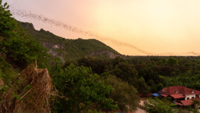 Battambang