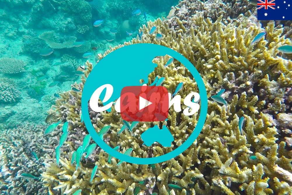 Cairns ∙ Ab in das Great Barrier Reef und unser erster Tag im Camper ∙ Australien ∙ Weltreise Vlog #22