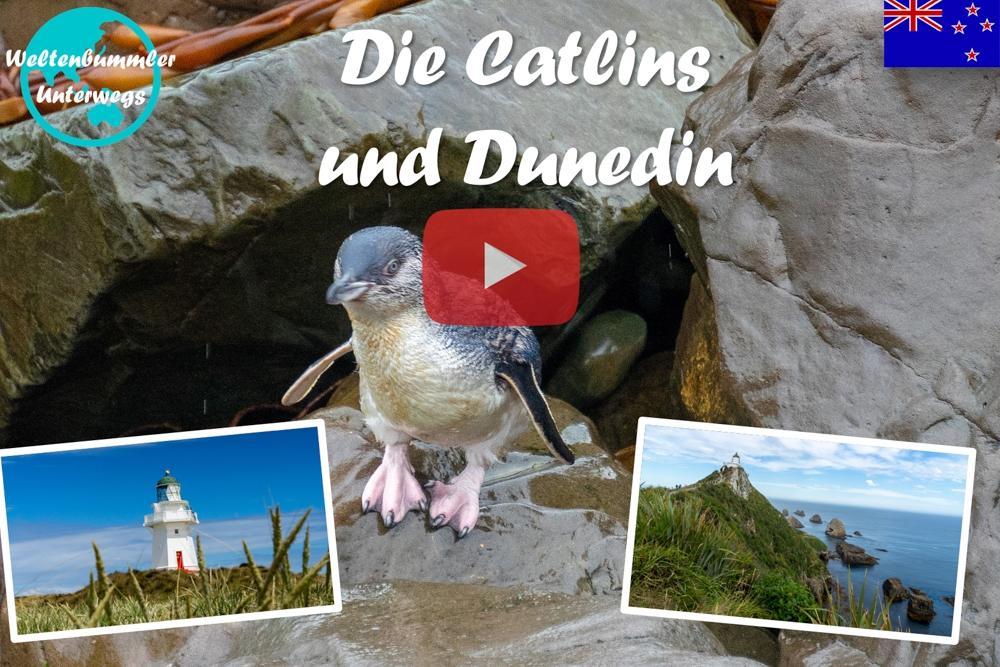 Catlins ∙ Delfine, Seelöwen und Pinguine ∙ Neuseeland ∙ Weltreise Vlog #55