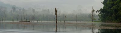 Khao Sok Nationalpark