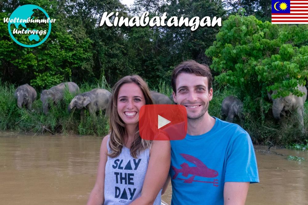 Kinabatangan River ∙ Die kleinsten Elefanten der Welt ∙ Fluss-Safari ∙ Borneo ∙ Weltreise Vlog #109