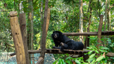 Luang Prabang