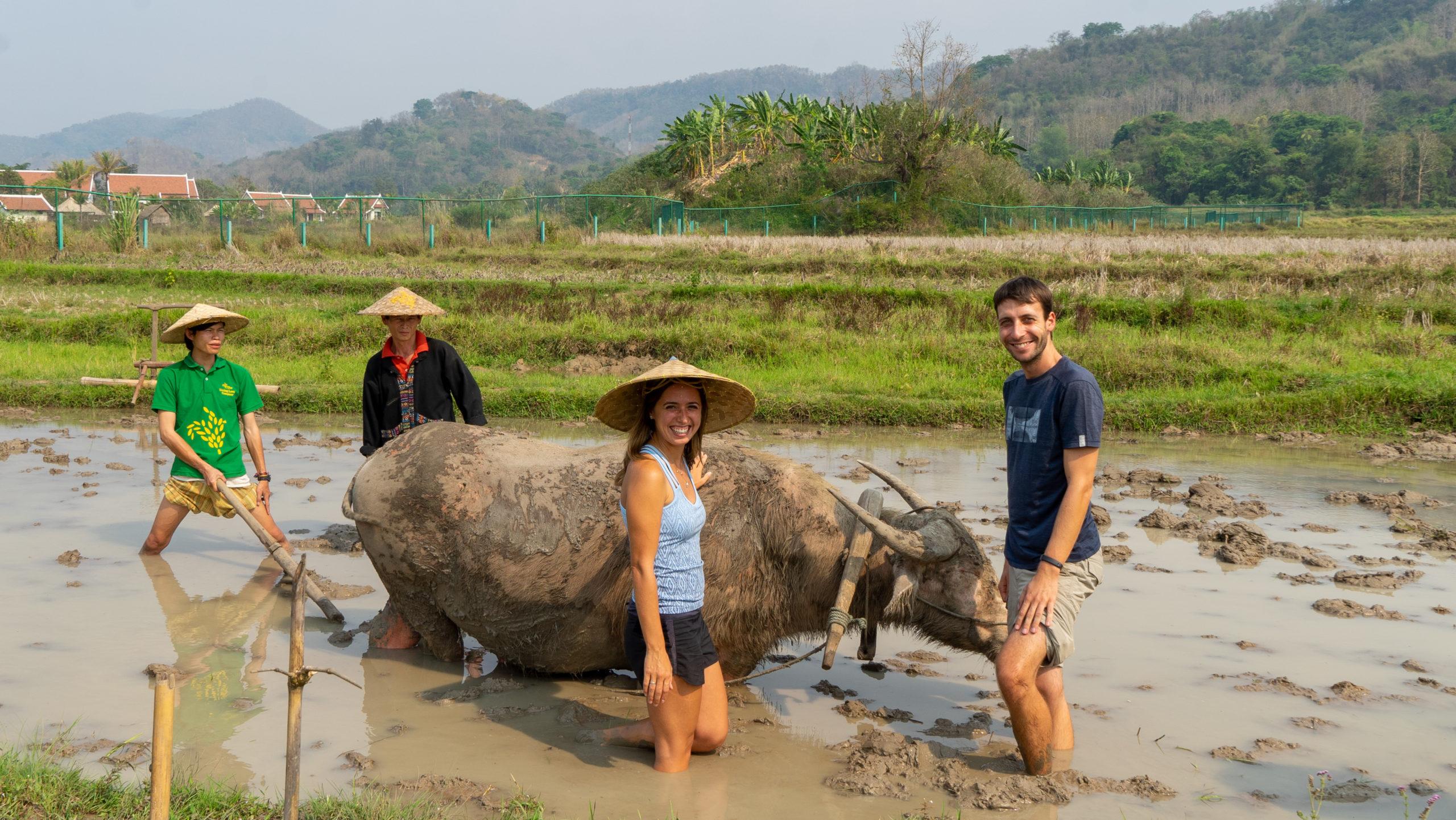 Luang Prabang ∙ Die koloniale Altstadt und der Kuang-Si Wasserfall ∙ Laos