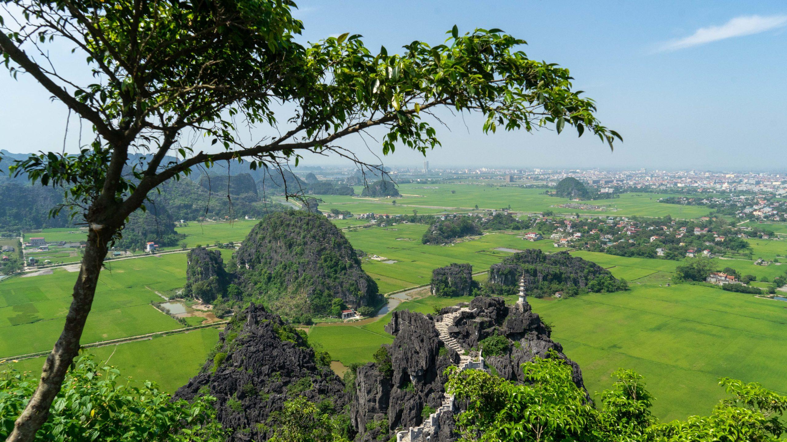 Ninh Bình ∙ In der trockenen Halong Bucht und beim größten Tempel des Landes ∙ Vietnam