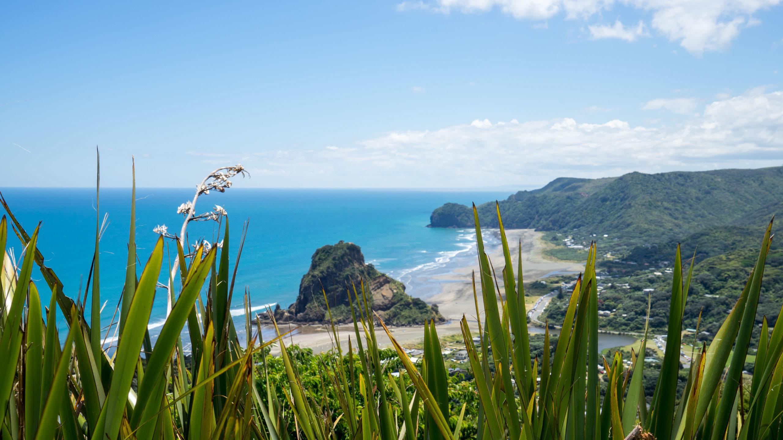 Piha und Coromandel ∙ Grüne Küsten und abwechslungsreiche Strände ∙ Neuseeland