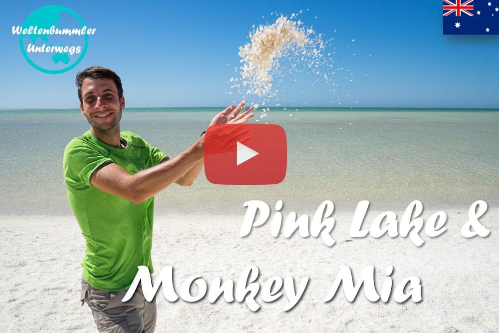 Pink Lake & Monkey Mia ∙ Von Muschelstränden und Delfinen ∙ Australien ∙ Weltreise Vlog #33
