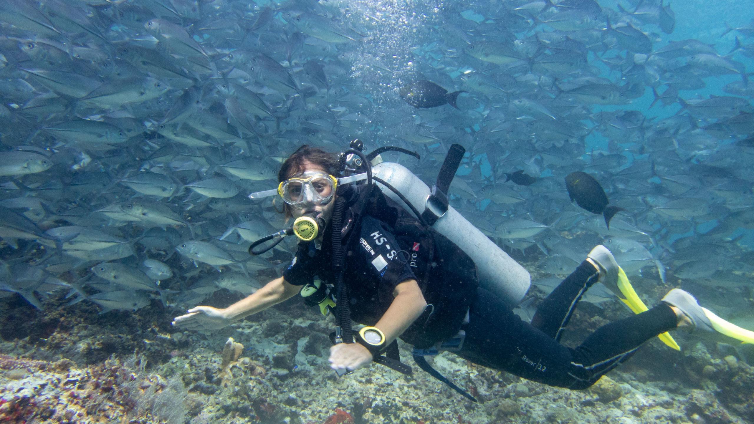 Semporna & Sipadan ∙ Tauchen in einer anderen Welt ∙ Borneo