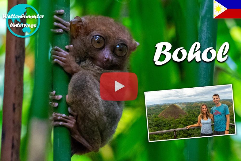 Bohol ∙ Unser Roller Roadtrip zu den Chocolate Hills, Koboldmakis und Anda ∙ Philippinen ∙ Weltreise Vlog #93