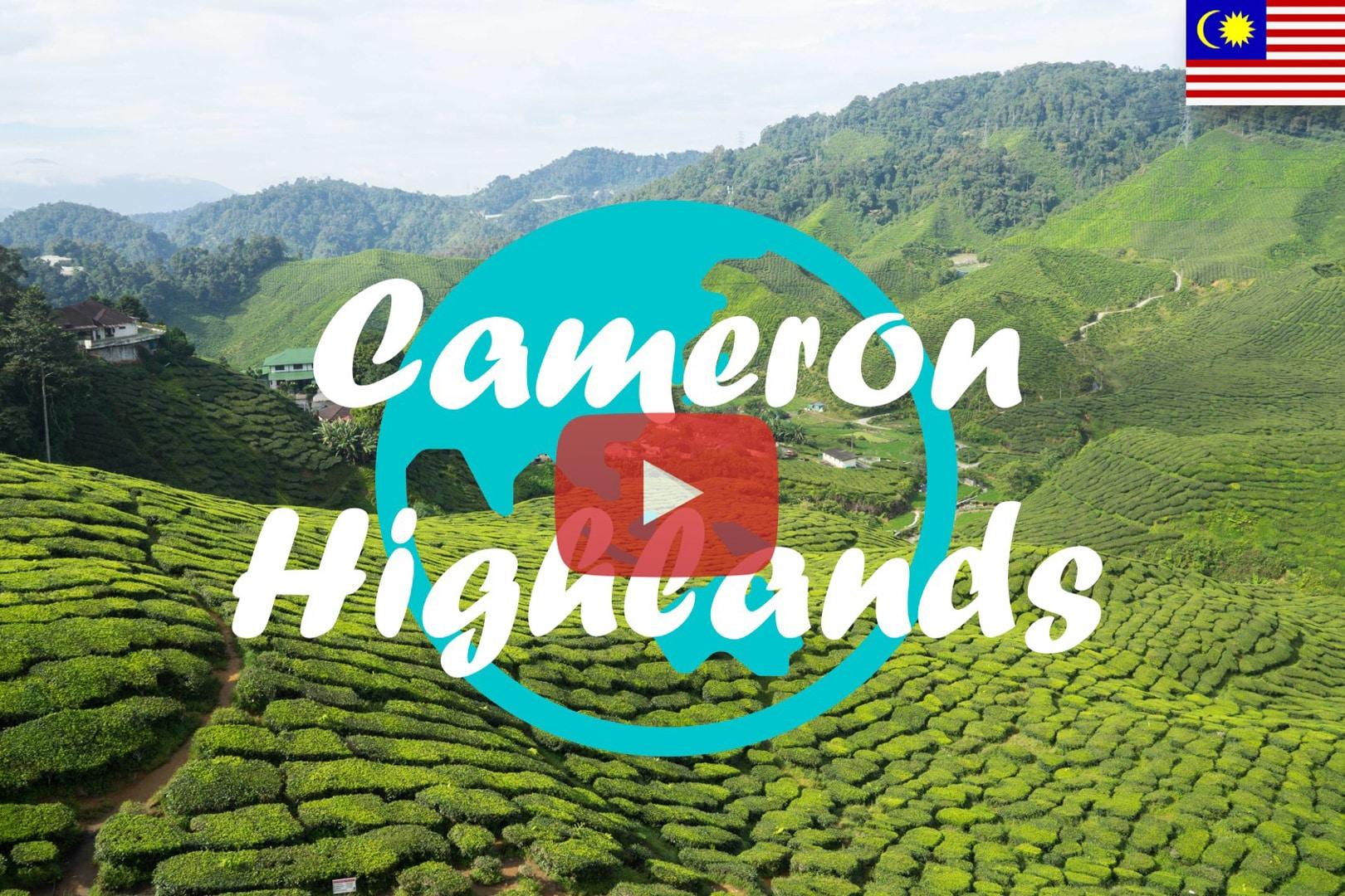 Cameron Highlands ∙ Zwischen Teeplantagen und Erdbeerfeldern ∙ Malaysia ∙ Weltreise Vlog #3