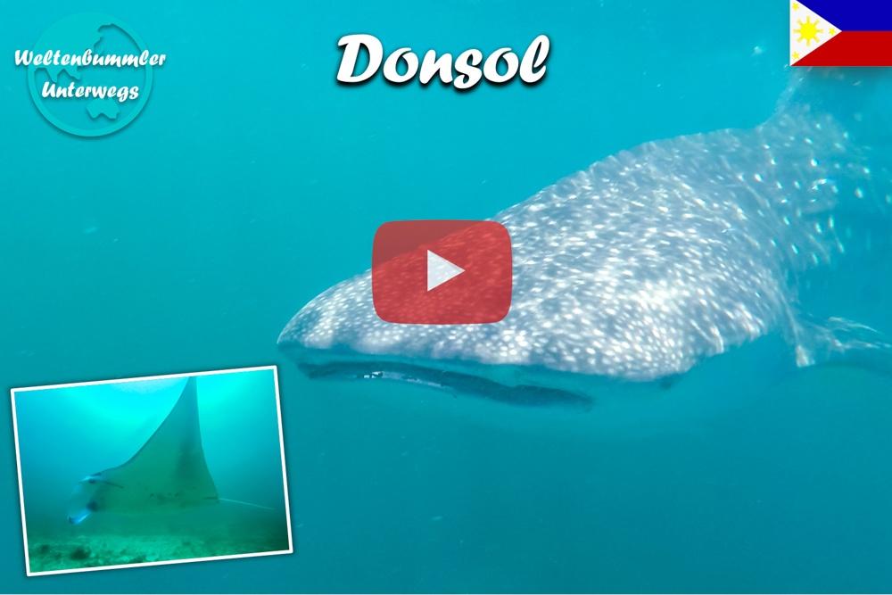 Donsol ∙ Tauchen mit den Walhaien und Mantarochen ∙ Philippinen ∙ Weltreise Vlog #91