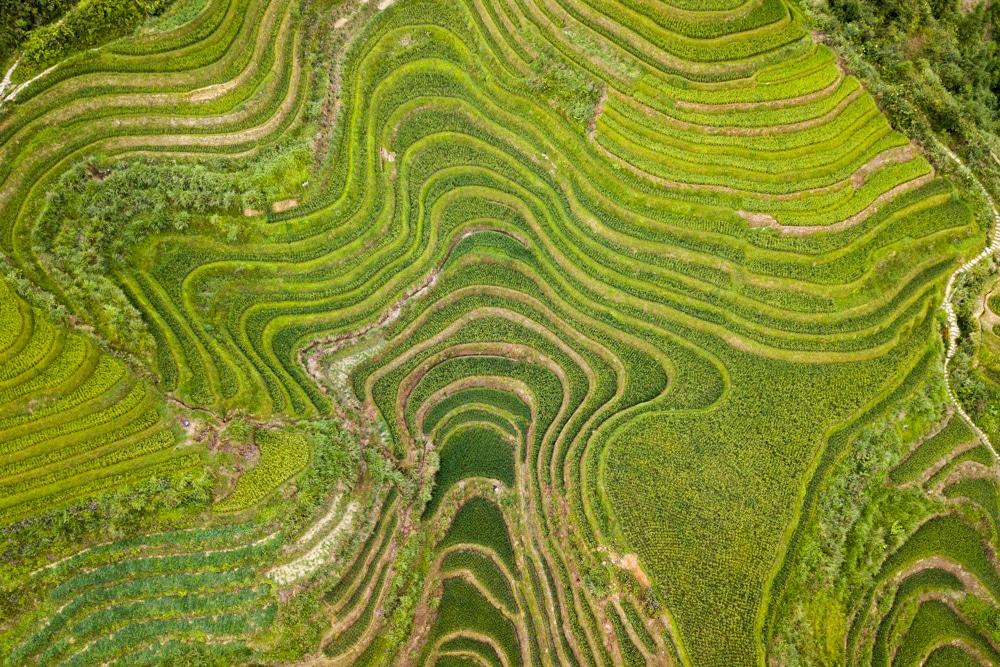 Guilin und Longsheng ∙ Leuchtende Pagoden und grüne Reisterrassen ∙ China