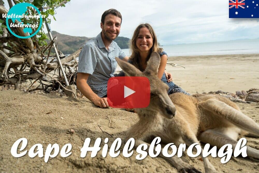 Cape Hillsborough ∙ Känguru-Alarm beim Sonnenaufgang ∙ Australien ∙ Weltreise Vlog #28