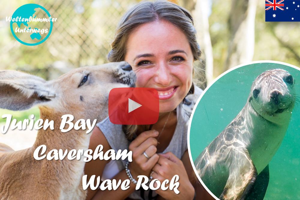 Jurien Bay ∙ Süße Seelöwen und hungrige Kängurus an der Westküste ∙ Australien ∙ Weltreise Vlog #36