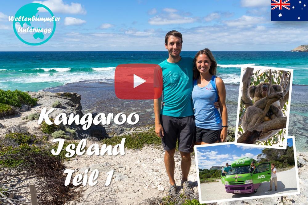 Adelaide & Kangaroo Island ∙ Putzige Seelöwen und Pinguine ∙ Australien ∙ Weltreise Vlog #42