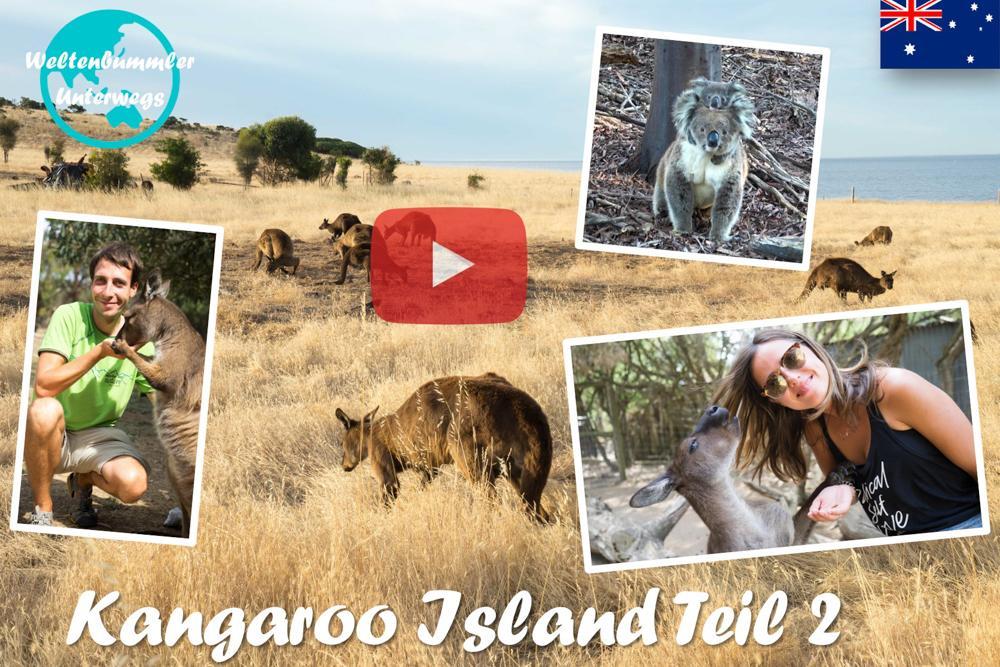 Kangaroo Island ∙ Und täglich grüßt das Känguru ∙ Australien ∙ Weltreise Vlog #43