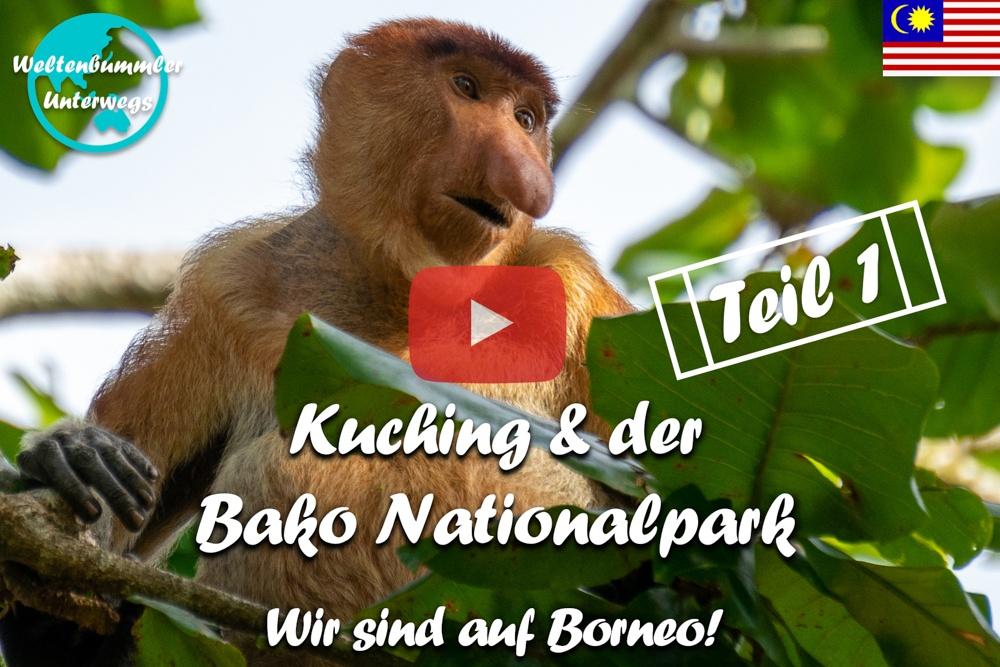 Kuching ∙ Nasenaffen im Bako Nationalpark ∙ Teil 1  ∙ Borneo ∙ Weltreise Vlog #103