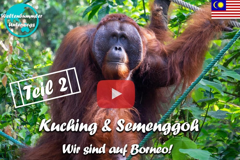 Kuching ∙ Orang-Utans im Semenggoh Nature Reserve ∙ Teil 2  ∙ Borneo ∙ Weltreise Vlog #104