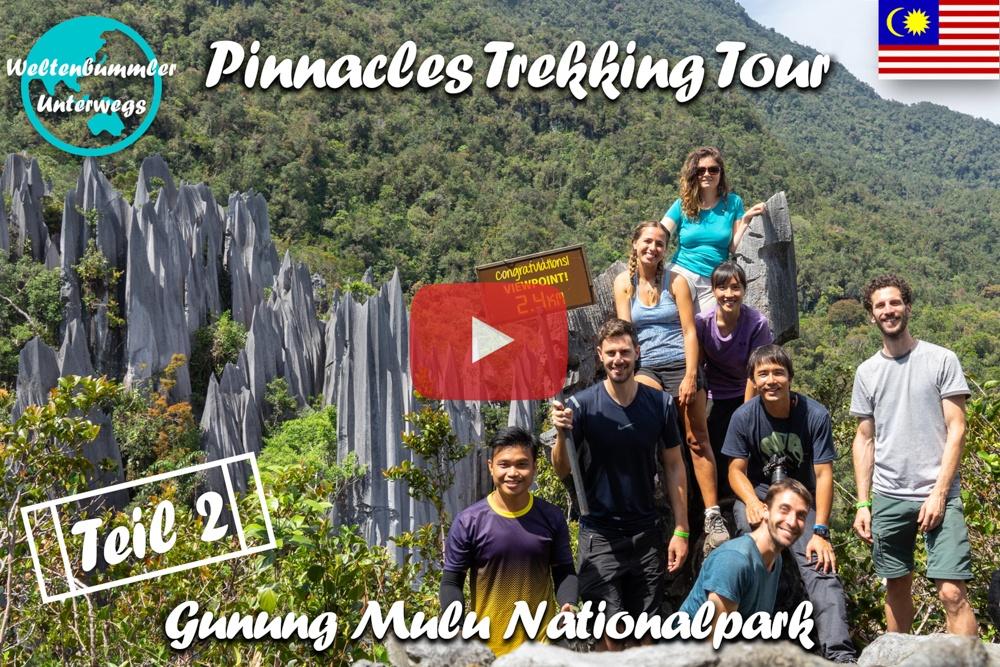 Mulu National Park ∙ Auf dem Pinnacles Trail durch den Regenwald ∙ Teil 2  ∙ Borneo ∙ Weltreise Vlog #106