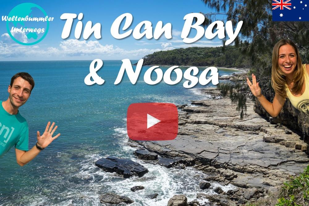 Tin Can Bay & Noosa ∙ Wir füttern Delfine! Wunderschöne Natur in Noosa! ∙ Australien ∙ Weltreise Vlog #30