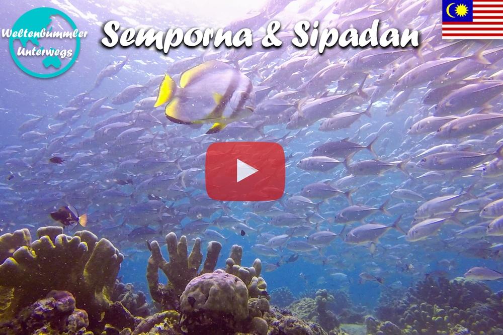 Semporna & Sipadan ∙ Eines der besten Tauchreviere der Welt  ∙ Borneo ∙ Weltreise Vlog #110