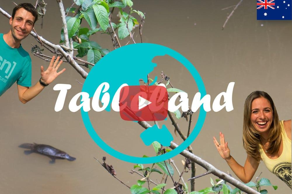 Tableland ∙ Schnabeltiere in freier Wildbahn ∙ Australien ∙ Weltreise Vlog #24