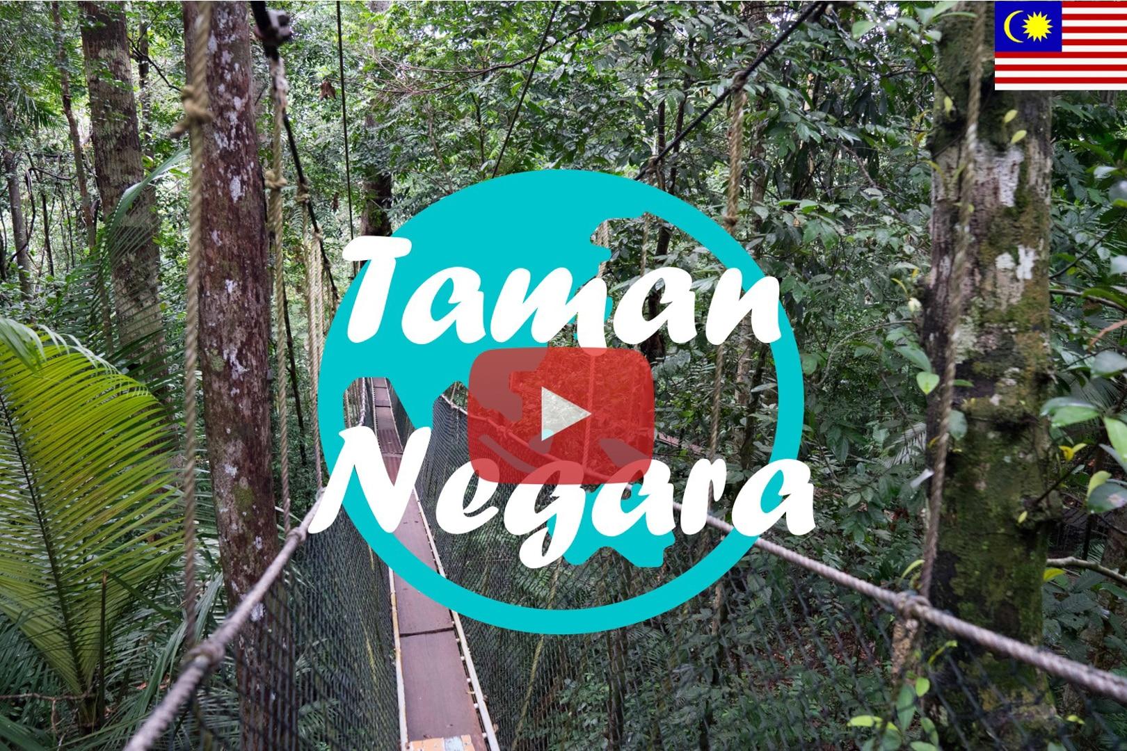 Taman Negara ∙ Abenteuer im Regenwald ∙ Malaysia ∙ Weltreise Vlog #4