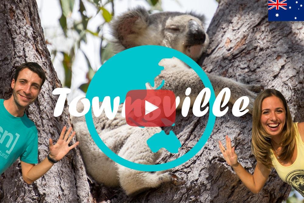 Townsville ∙ Süße Koalas auf Magnetic Island ∙ Australien ∙ Weltreise Vlog #26